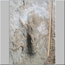 102_6143 (2013-08-07)mod.JPG